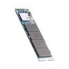 SSD M2 SATA NVME 256GB - Ổ cứng lưu trữ thế hệ mới tốc độ cao